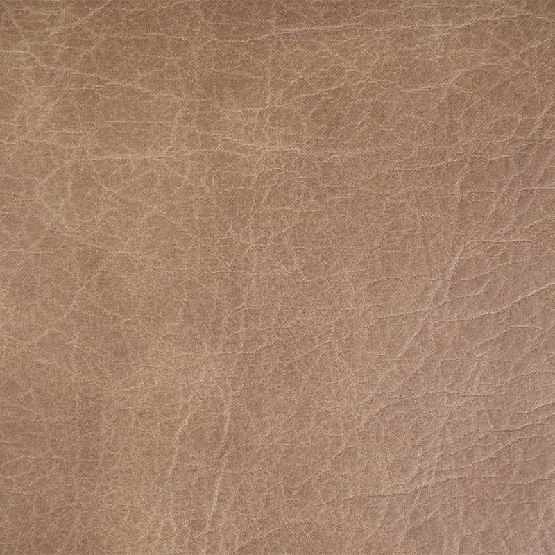 Goreayn New Materials (Zhejiang)Co., Ltd.
